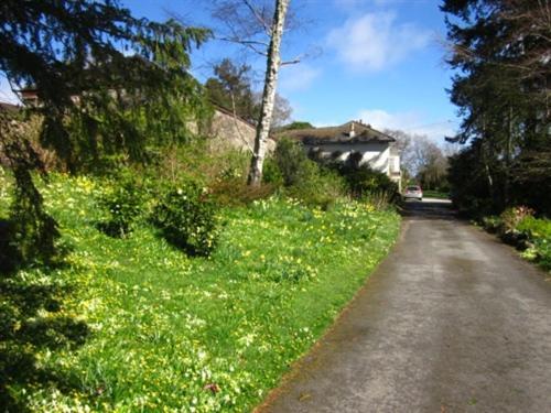 Sandhill House Country House Retreat Gunnislake Dış mekan fotoğraf